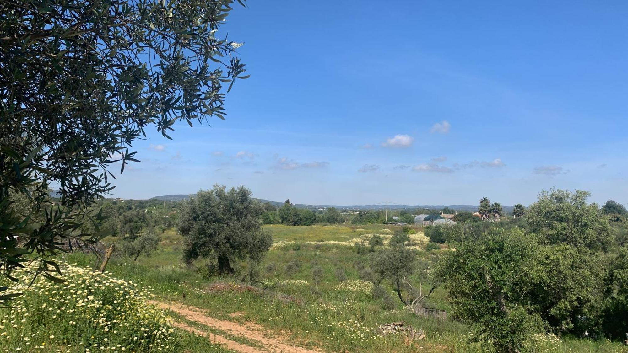 B&B Quinta A Fonte Tavira - Adults Only 外观 照片
