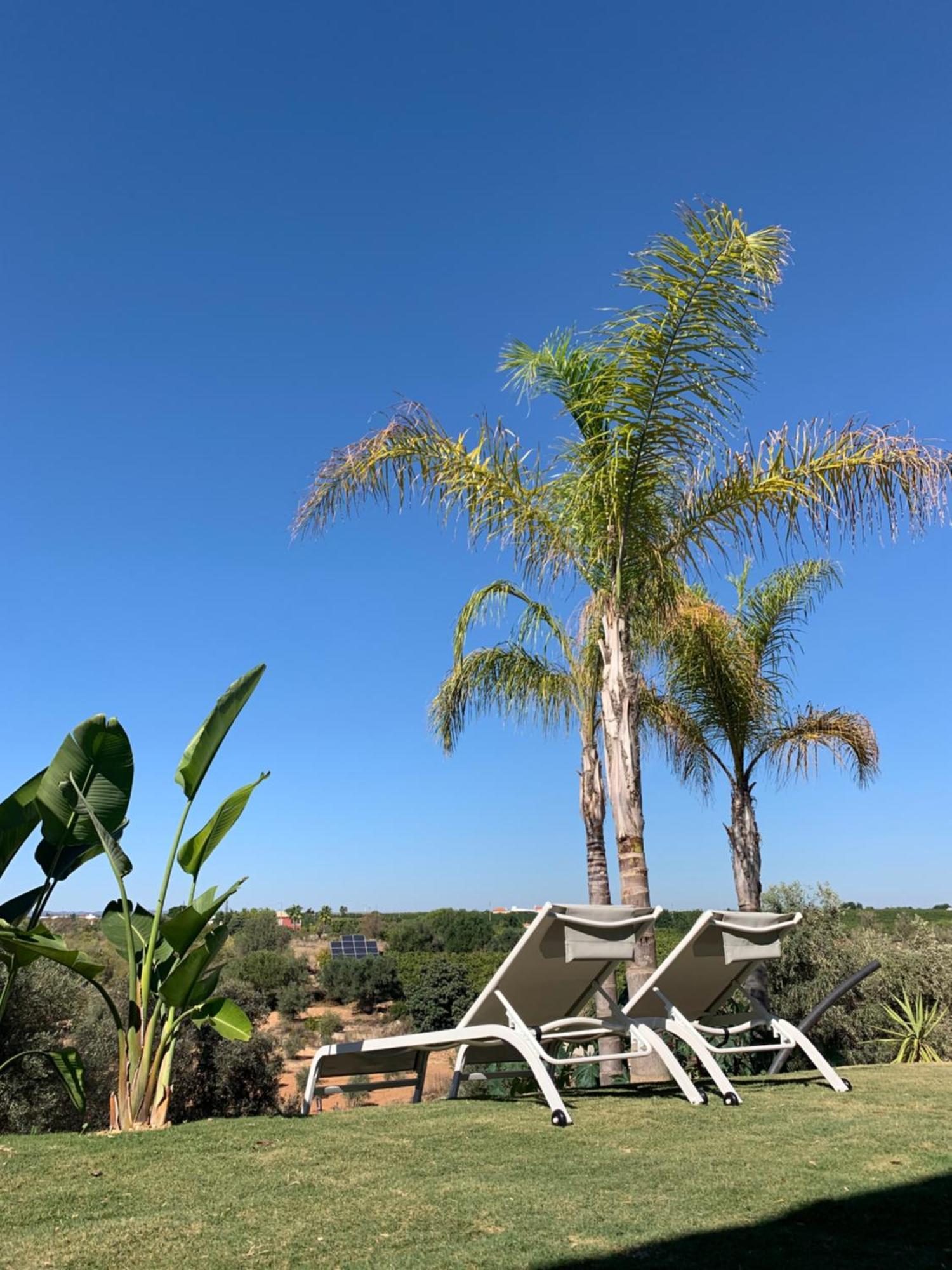 B&B Quinta A Fonte Tavira - Adults Only 外观 照片